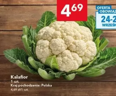 Kalafior