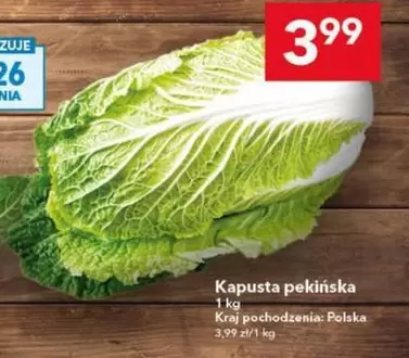 Kapusta pekińska