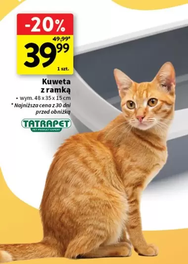 Kuweta z ramką