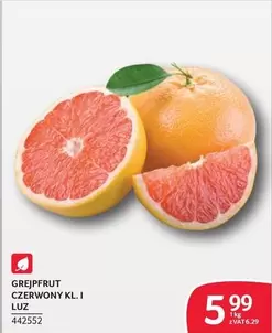 GREJPFRUT CZERWONY KL. I LUZ 442552