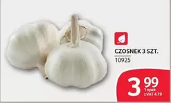 CZOSNEK 3 SZT. 10925