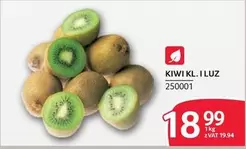 KIWI KL. I LUZ 250001
