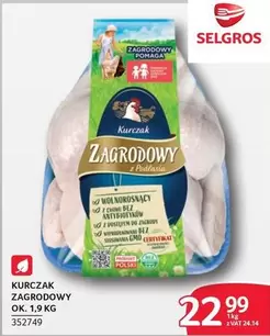 Ok - KURCZAK ZAGRODOWY