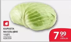 KAPUSTA NA GOŁĄBKI 1 SZT. 626359