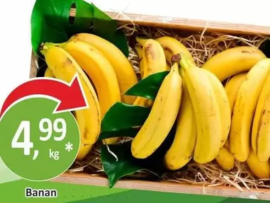 Banan