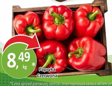 Papryka Czerwona