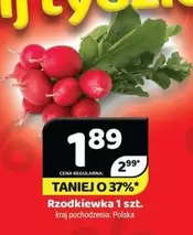 Rzodkiewka