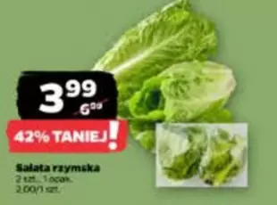 Sałata rzymska