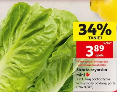 Mini - Sałata rzymska mini