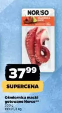 Ośmiornica macki gotowane