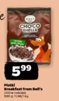 Choco Shells