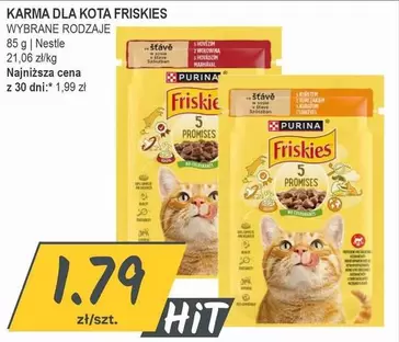 KARMA DLA KOTA