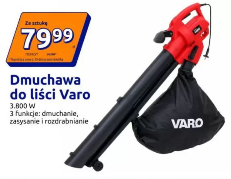 Dmuchawa do liści