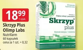 Plus - Skrzyp