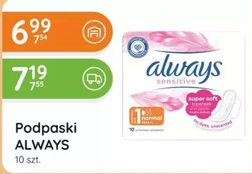 No - Podpaski
