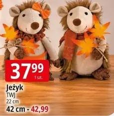 Jeżyk