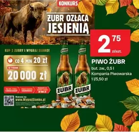 PIWO ŻUBR