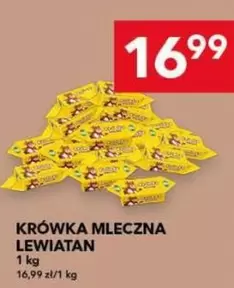 KRÓWKA MLECZNA