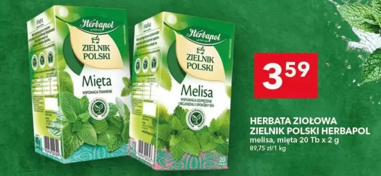 HERBATA ZIOLOWA ZIELNIK POLSKI