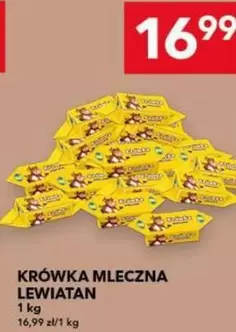 KRÓWKA MLECZNA