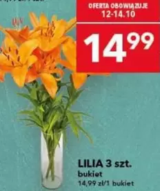 Lilia bukiet