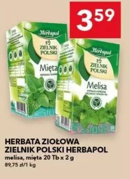 HERBATA ZIOŁOWA ZIELNIK POLSKI