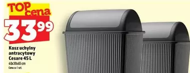 Kosz uchylny Cesare 45 L