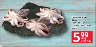 Baby - OŚMIORNICZKI BABY
