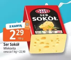 Ser Sokół