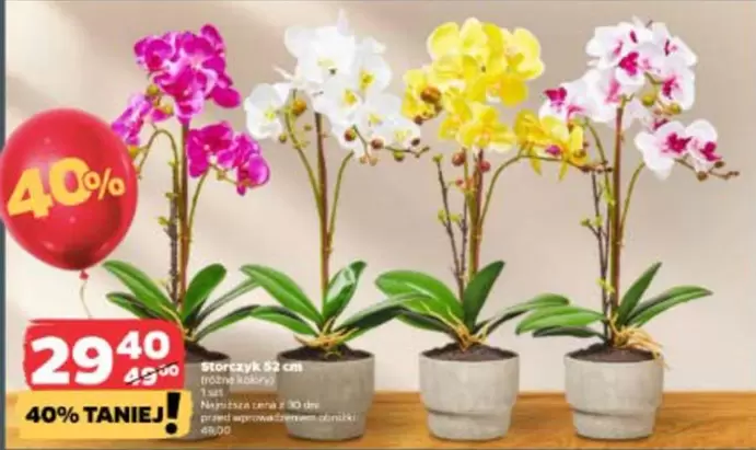 Orchids