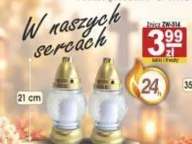 Znicz ZW-314