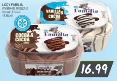 LODY RODZAJE