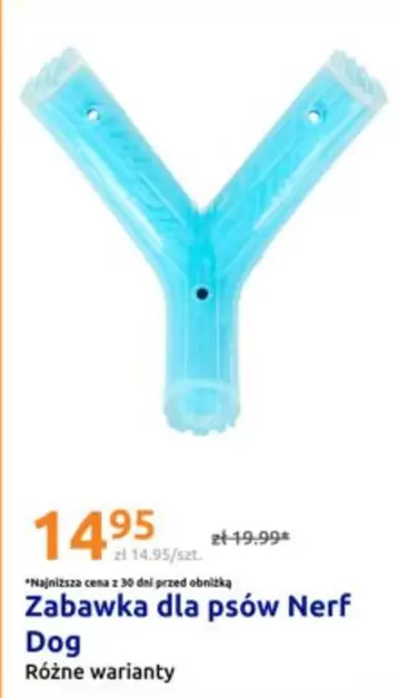 Nerf - Zabawka dla psów