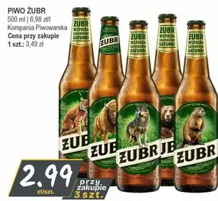 PIWO ŻUBR