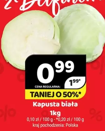 Kapusta biała