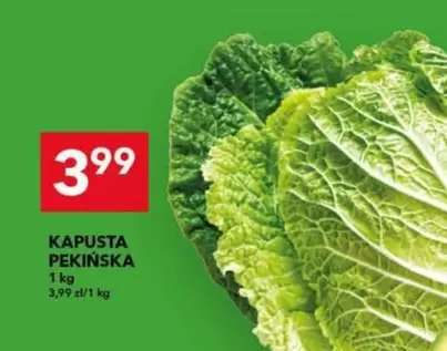 KAPUSTA PEKI
SKA