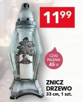 Znicz Drzewo