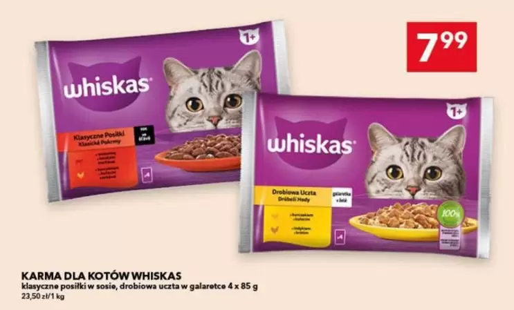 Karma dla kotów