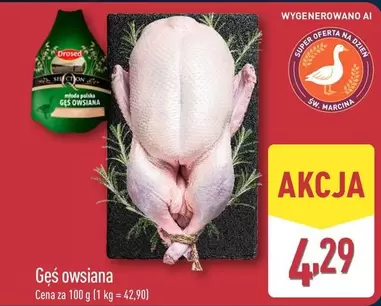 Sw - Gęś owsiana