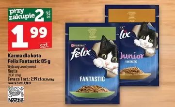 Karma dla kota Felix Fantastic