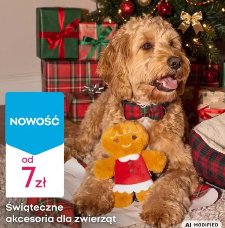 Świąteczne akcesoria dla zwierząt