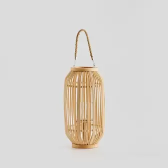 Lampion Mindoradosea