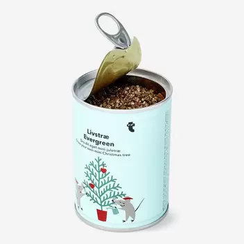 Wyhoduj własną choinkę