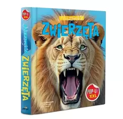 Niezwykłe zwierzęta. POP-UP XXL