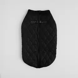 Ubranko Dla Zwierzaka Celio