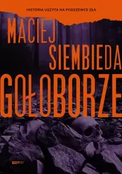 Gołoborze (e-book)