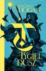 Tygiel dusz. Cykl Hierarchia Magii. Tom 1
