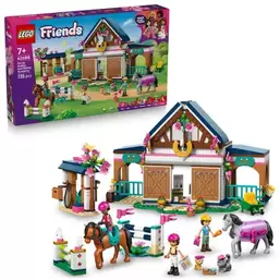 Friends, Stadnina i szkółka jeździecka, 42688
