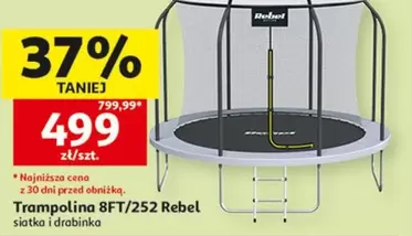 Rebel - Trampolina 8FT/252