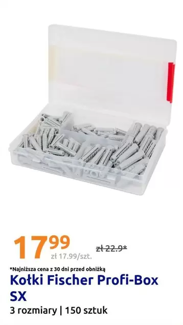 Kotki Fischer Profi-Box SX